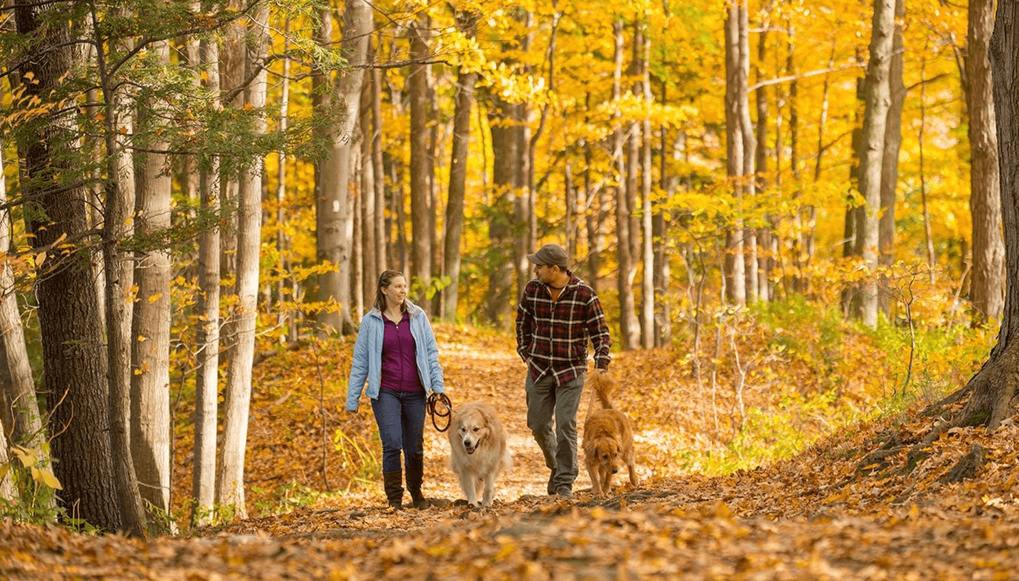 Rouge National Urban Park
